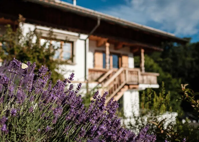 Design Maximilian - Alpbach *